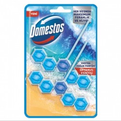 Domestos Tuvalet Bloğu Okyanus Esintisi 50 gr